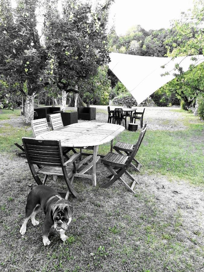 Hauteville-sur-Fier Escapade Champetre Bed & Breakfast エクステリア 写真